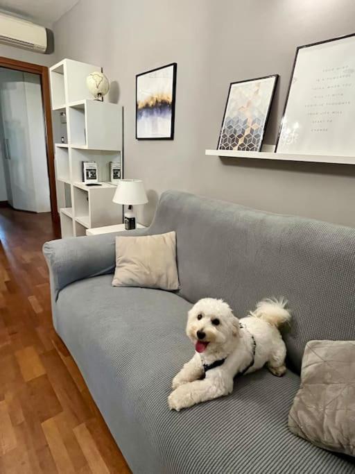 Apartmán Casa Di Lillo Merate Exteriér fotografie